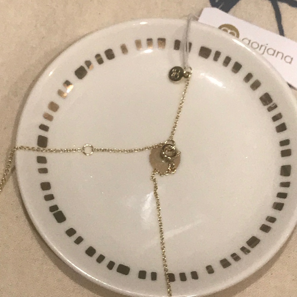 NWT! gorjana “Luca” Necklace - Picture 5 of 5